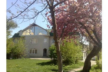 Ukrajina Privát Mukačevo, Eksterijer